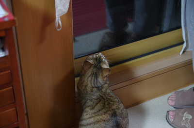 20110214-IMGP5091.jpg