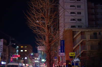 20110311-IMGP7960.jpg