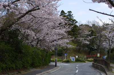 20110410-IMGP8797.jpg