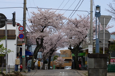 20110410-IMGP8818.jpg